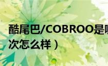 酷尾巴/COBROO是哪个国家的品牌（什么档次怎么样）