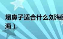 塌鼻子适合什么刘海图片（塌鼻子适合什么刘海）