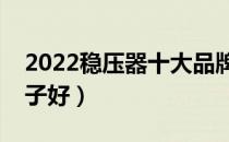 2022稳压器十大品牌排行榜（稳压器哪个牌子好）