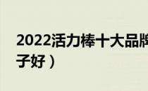 2022活力棒十大品牌排行榜（活力棒哪个牌子好）