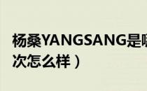 杨桑YANGSANG是哪个国家的品牌（什么档次怎么样）