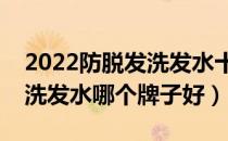 2022防脱发洗发水十大品牌排行榜（防脱发洗发水哪个牌子好）