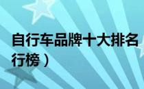 自行车品牌十大排名（城市自行车十大品牌排行榜）