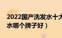 2022国产洗发水十大品牌排行榜（国产洗发水哪个牌子好）