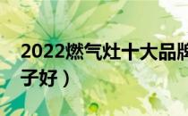 2022燃气灶十大品牌排行榜（燃气灶哪个牌子好）