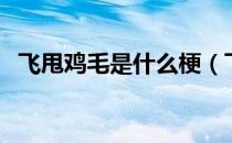 飞甩鸡毛是什么梗（飞甩鸡毛是什么牌子）