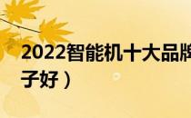 2022智能机十大品牌排行榜（智能机哪个牌子好）