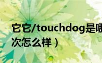 它它/touchdog是哪个国家的品牌（什么档次怎么样）