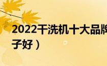 2022干洗机十大品牌排行榜（干洗机哪个牌子好）