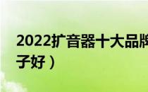 2022扩音器十大品牌排行榜（扩音器哪个牌子好）