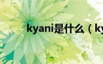 kyani是什么（kyani是什么产品）