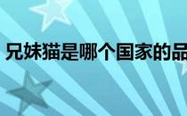 兄妹猫是哪个国家的品牌（什么档次怎么样）
