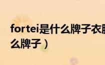 fortei是什么牌子衣服质量怎样（fortei是什么牌子）
