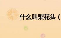 什么叫梨花头（什么叫梨花头）