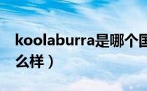 koolaburra是哪个国家的品牌（什么档次怎么样）