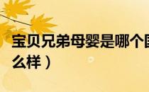 宝贝兄弟母婴是哪个国家的品牌（什么档次怎么样）