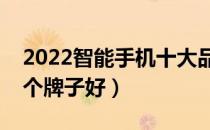 2022智能手机十大品牌排行榜（智能手机哪个牌子好）