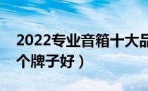 2022专业音箱十大品牌排行榜（专业音箱哪个牌子好）