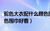 驼色大衣配什么颜色围巾（驼色大衣配什么颜色围巾好看）