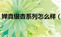 婵真银杏系列怎么样（婵真银杏系列怎么样）