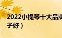 2022小提琴十大品牌排行榜（小提琴哪个牌子好）