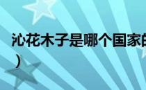 沁花木子是哪个国家的品牌（什么档次怎么样）