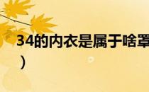 34的内衣是属于啥罩杯（34的内衣是什么号）