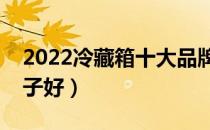 2022冷藏箱十大品牌排行榜（冷藏箱哪个牌子好）