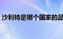 沙利特是哪个国家的品牌（什么档次怎么样）