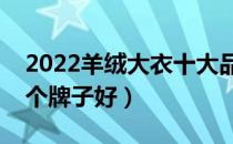 2022羊绒大衣十大品牌排行榜（羊绒大衣哪个牌子好）