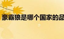 豪霸狼是哪个国家的品牌（什么档次怎么样）