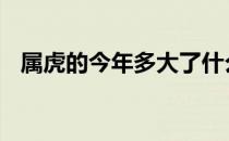 属虎的今年多大了什么命 属虎的今年多大