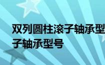 双列圆柱滚子轴承型号内经1oo 双列圆柱滚子轴承型号