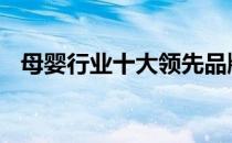 母婴行业十大领先品牌 母婴产品十大品牌