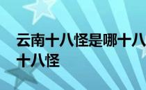 云南十八怪是哪十八怪图片 云南十八怪是哪十八怪