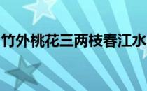 竹外桃花三两枝春江水暖鸭先知的意思怎么写