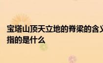 宝塔山顶天立地的脊梁的含义是什么 宝塔山顶天立地的脊梁指的是什么