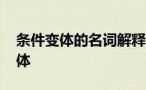 条件变体的名词解释 名词解释什么是条件变体