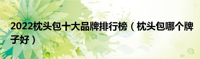 2022枕头包十大品牌排行榜（枕头包哪个牌子好）