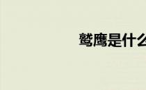 鹫鹰是什么动物 鹫鹰