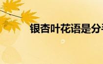 银杏叶花语是分手吗 银杏叶花语