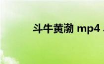 斗牛黄渤 mp4 斗牛黄渤完整版