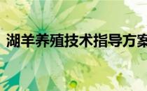 湖羊养殖技术指导方案及措施 湖羊养殖技术