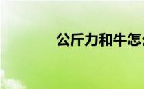 公斤力和牛怎么换算 公斤力