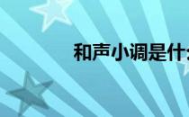和声小调是什么 小调是什么