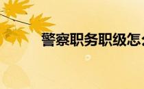 警察职务职级怎么填 职级怎么填