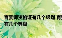 育婴师资格证有几个级别 育婴师资格证书是哪个部门颁发的有几个等级