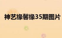 神艺缘馨缘35期图片 神艺缘馨缘35期图片