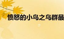 愤怒的小鸟之鸟群最爱内购破解版v4.2.3