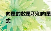 向量的数量积和向量积公式 向量的向量积公式